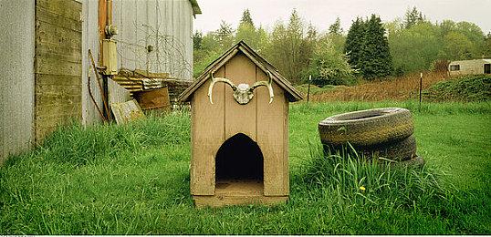 三款龙珠游戏宣布将推出《龙珠：大魔》DLC